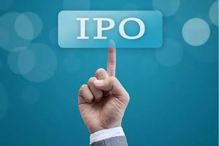 What is an IPO? - 金融英語口譯翻譯服務(wù)